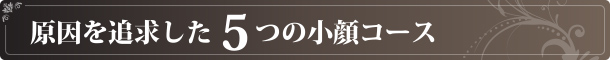 原因を追及した5つの小顔コース