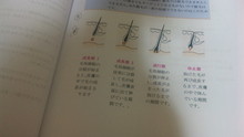 ◆新潟出張一日目終了
