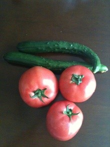◆新潟の新鮮な季節野菜
