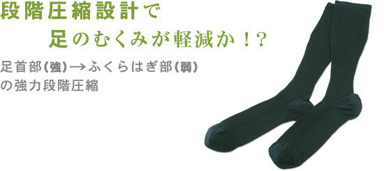 ◆本日から自由が丘サロンでした