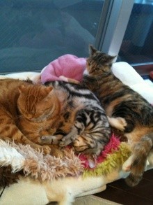 ◆サロンのイメチェン